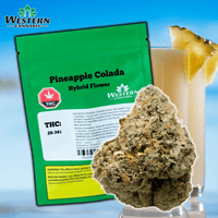 Western Cannabis Pineapple Colada Hybrid Flower-28g 28g Brandon Vape SuperStore and Cannabis Manitoba Canada