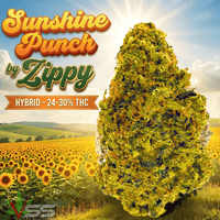 Zippy Sunshine Punch Hybrid Flower - 28g Brandon Vape SuperStore and Cannabis Manitoba Canada